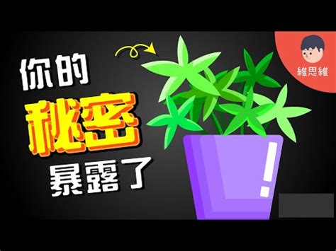 植物與人的關係|植物的竊聽風暴：無聲的植物如何彼此溝通？